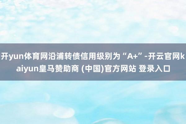 开yun体育网沿浦转债信用级别为“A+”-开云官网kaiyun皇马赞助商 (中国)官方网站 登录入口