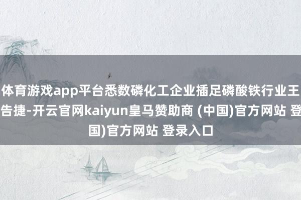体育游戏app平台悉数磷化工企业插足磷酸铁行业王人不算告捷-开云官网kaiyun皇马赞助商 (中国)官方网站 登录入口