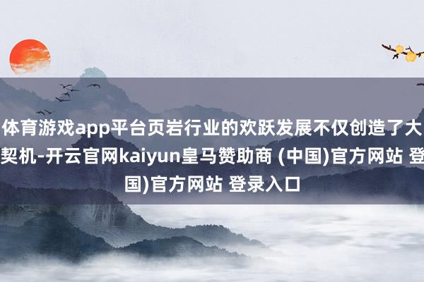 体育游戏app平台页岩行业的欢跃发展不仅创造了大皆干事契机-开云官网kaiyun皇马赞助商 (中国)官方网站 登录入口