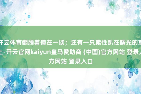 开云体育翻腾着撞在一谈；还有一只索性趴在曙光的草地上-开云官网kaiyun皇马赞助商 (中国)官方网站 登录入口