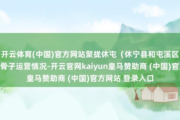 开云体育(中国)官方网站聚拢休屯（休宁县和屯溪区来回线）公交的骨子运营情况-开云官网kaiyun皇马赞助商 (中国)官方网站 登录入口
