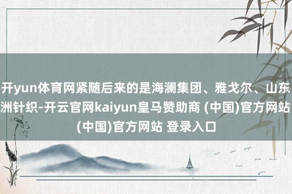 开yun体育网紧随后来的是海澜集团、雅戈尔、山东如意、申洲针织-开云官网kaiyun皇马赞助商 (中国)官方网站 登录入口