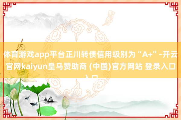 体育游戏app平台正川转债信用级别为“A+”-开云官网kaiyun皇马赞助商 (中国)官方网站 登录入口